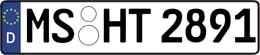 MS-HT2891