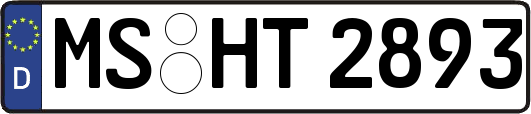 MS-HT2893