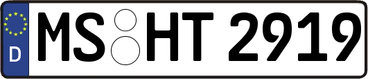 MS-HT2919