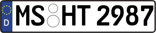 MS-HT2987