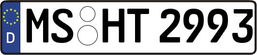 MS-HT2993
