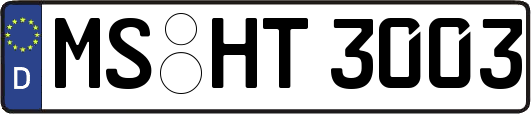 MS-HT3003