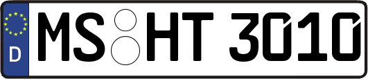MS-HT3010