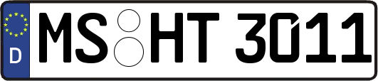 MS-HT3011