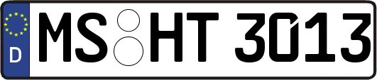 MS-HT3013