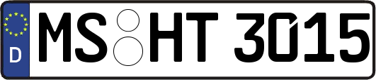 MS-HT3015