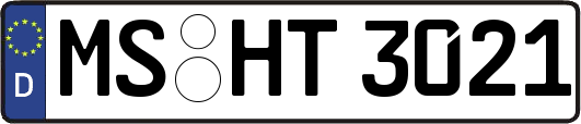 MS-HT3021