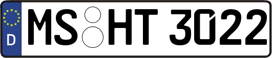 MS-HT3022