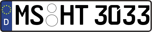 MS-HT3033