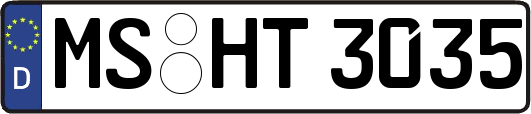 MS-HT3035