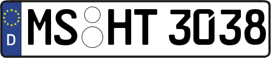 MS-HT3038