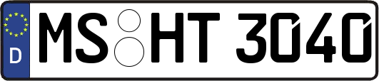 MS-HT3040