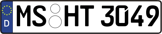 MS-HT3049