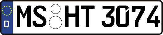 MS-HT3074