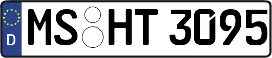 MS-HT3095