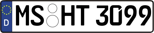 MS-HT3099