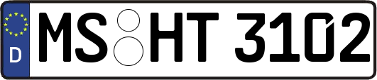 MS-HT3102