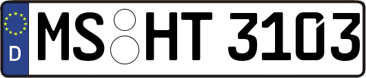 MS-HT3103
