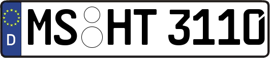 MS-HT3110