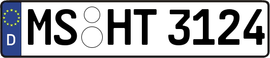 MS-HT3124