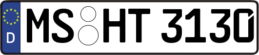 MS-HT3130