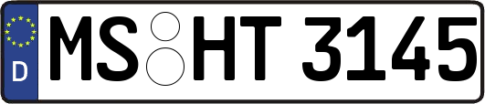 MS-HT3145