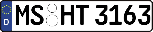 MS-HT3163