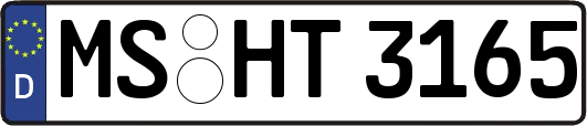 MS-HT3165