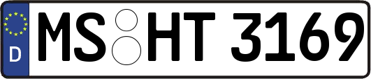 MS-HT3169