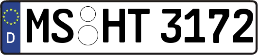 MS-HT3172