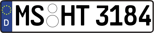 MS-HT3184