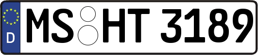 MS-HT3189