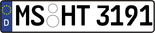 MS-HT3191