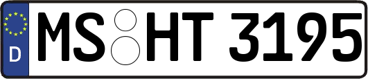 MS-HT3195