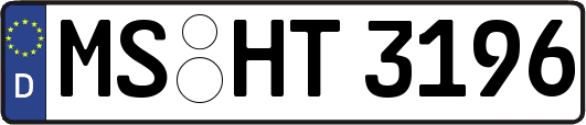 MS-HT3196