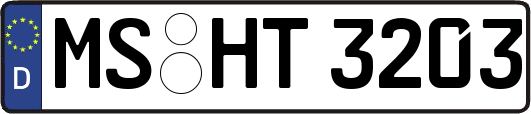MS-HT3203