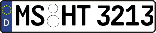 MS-HT3213
