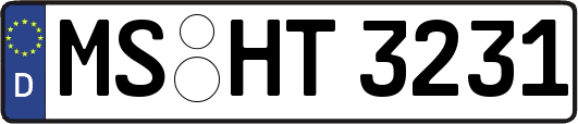 MS-HT3231