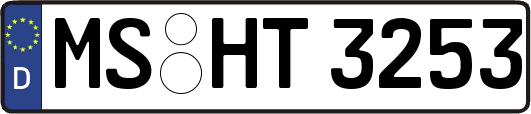 MS-HT3253