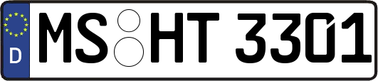 MS-HT3301