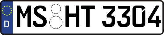 MS-HT3304