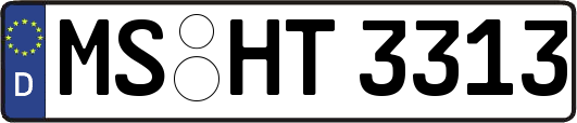 MS-HT3313