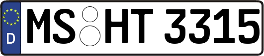 MS-HT3315