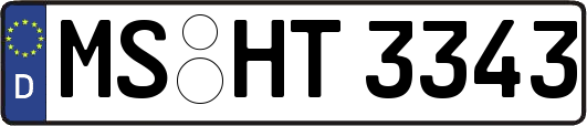 MS-HT3343