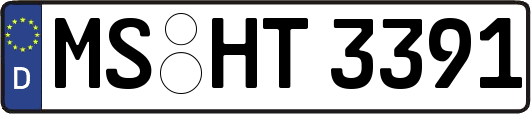 MS-HT3391
