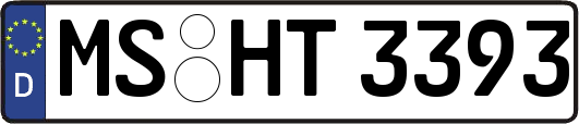 MS-HT3393
