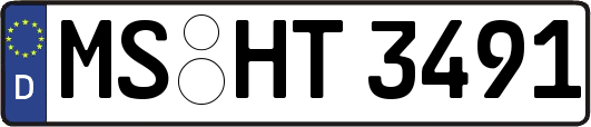 MS-HT3491