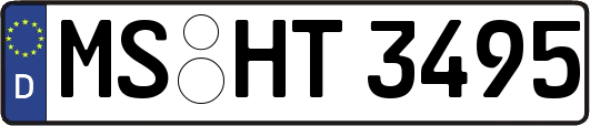 MS-HT3495