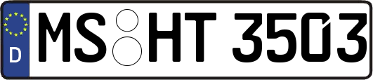 MS-HT3503
