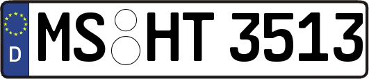 MS-HT3513